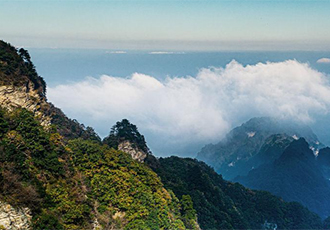 “十四五”能源規(guī)劃成績(jī)?cè)u(píng)述及形勢(shì)展望